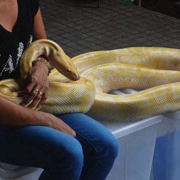 Snake Farm in Bangkok